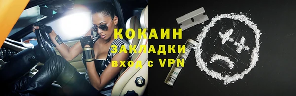 стафф Белая Холуница