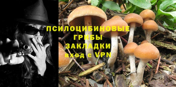 a pvp Михайловск