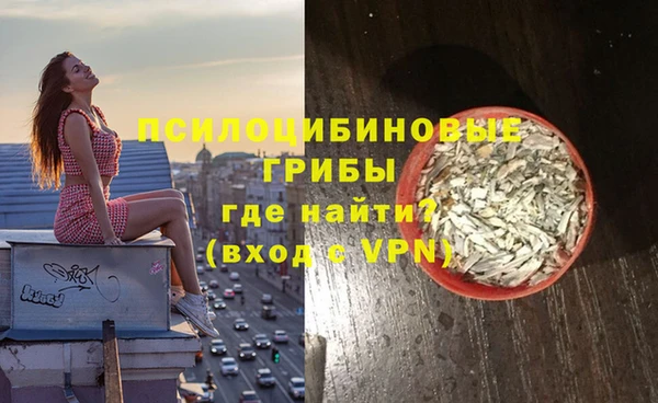 a pvp Михайловск