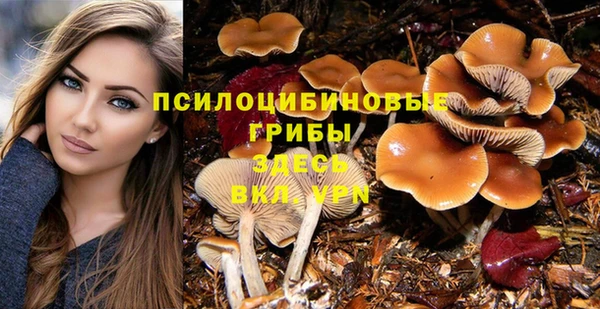a pvp Михайловск