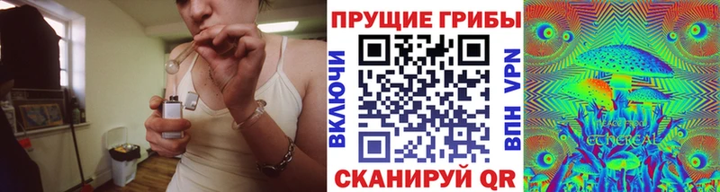 Псилоцибиновые грибы Psilocybine cubensis Абдулино